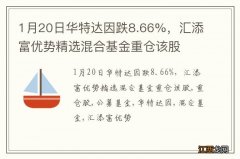 1月20日华特达因跌8.66%，汇添富优势精选混合基金重仓该股