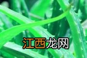 口红掉色好还是不掉色好 口红怎么涂不容易掉色