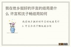 我在他乡挺好的许言的结局是什么 许言和沈子畅结局如何