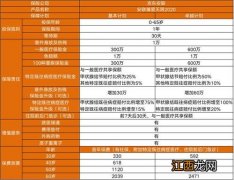 臻爱无限2020医疗险投保规则是什么？