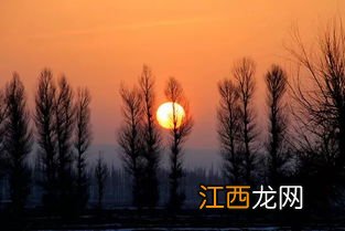 重庆冬天真的没有太阳吗2023-重庆冬天出太阳的天数是多少