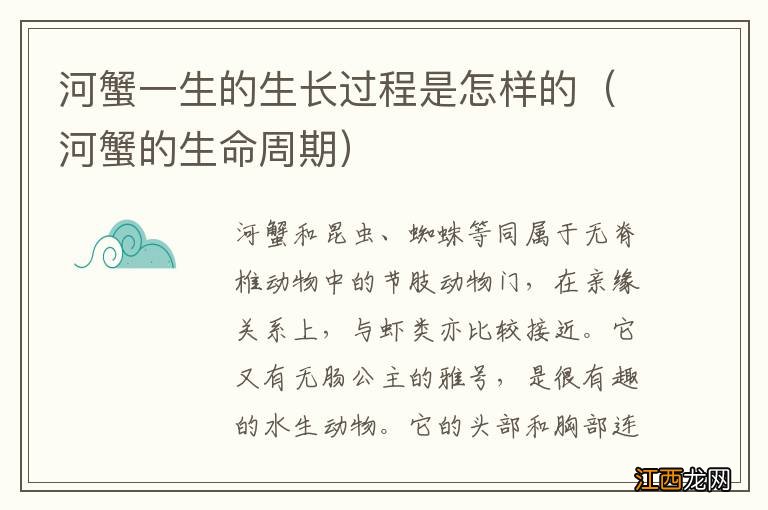 河蟹的生命周期 河蟹一生的生长过程是怎样的