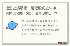 锂企业绩爆棚！融捷股份去年净利同比预增40倍，盛新锂能、中矿资源均预增5倍