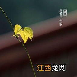 2022白露过后怎么还这么热-今年白露节气特点是怎么样的