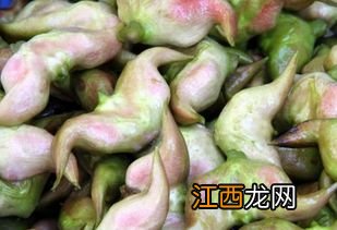 新鲜菱角可以冷冻保存吗-新鲜菱角放冷冻好不好