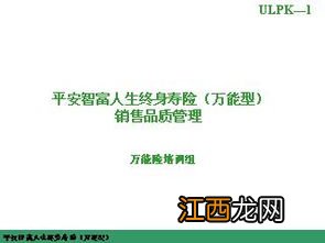 平安智富人生终身寿险万能型是哪家保险公司的产品？