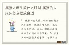 属猪人床头放什么旺财 属猪的人床头怎么摆放合适