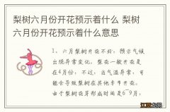 梨树六月份开花预示着什么 梨树六月份开花预示着什么意思