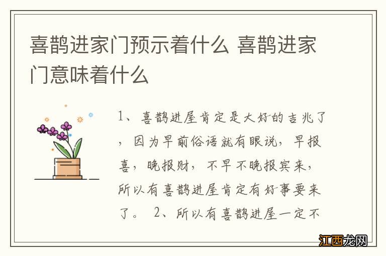 喜鹊进家门预示着什么 喜鹊进家门意味着什么