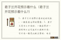 君子兰开花预示着什么? 君子兰开花预示着什么