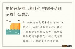 柏树开花预示着什么 柏树开花预示着什么意思