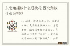 东北角摆放什么旺桃花 西北角放什么旺桃花