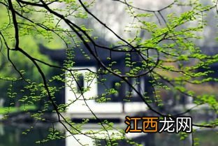 2023年有两个立春分别是哪两天-2023年两个立春时间是几月几号