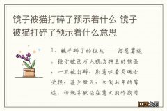 镜子被猫打碎了预示着什么 镜子被猫打碎了预示着什么意思