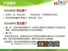 全民e保B款能够单独投保吗？