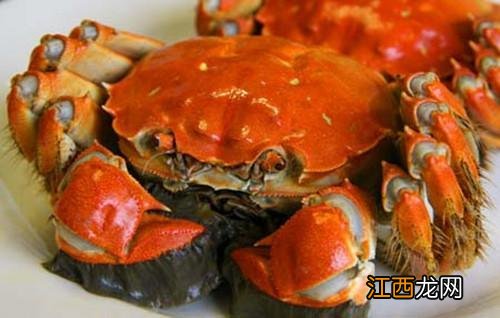 2022年大闸蟹几月份开始上市-大闸蟹最早什么时候上市