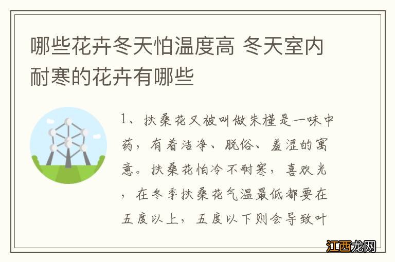 哪些花卉冬天怕温度高 冬天室内耐寒的花卉有哪些