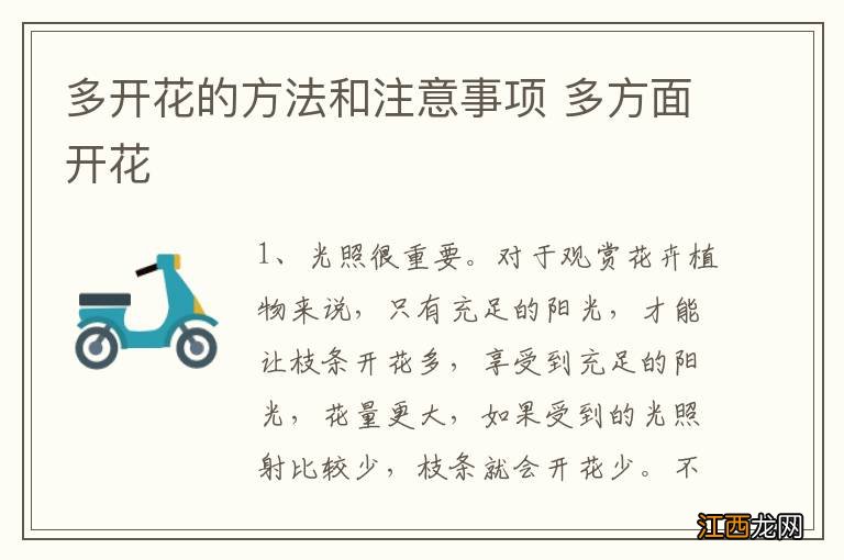 多开花的方法和注意事项 多方面开花