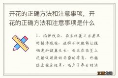 开花的正确方法和注意事项，开花的正确方法和注意事项是什么