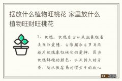 摆放什么植物旺桃花 家里放什么植物旺财旺桃花