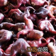 煮菱角用清水还是盐水好-煮菱角用什么水好吃