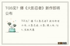 TGS见？爆《火影忍者》新作即将公布