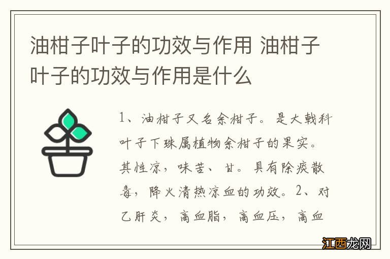 油柑子叶子的功效与作用 油柑子叶子的功效与作用是什么