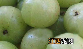 油柑子叶子的功效与作用 油柑子叶子的功效与作用是什么