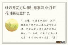 牡丹开花方法和注意事项 牡丹开花时要注意什么