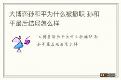 大博弈孙和平为什么被撤职 孙和平最后结局怎么样