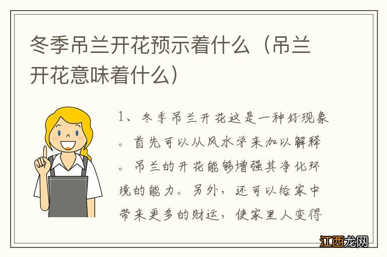 吊兰开花意味着什么 冬季吊兰开花预示着什么