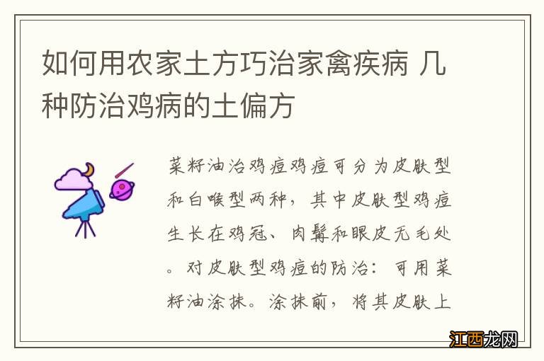 如何用农家土方巧治家禽疾病 几种防治鸡病的土偏方