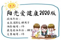 50岁的人能买阳光爱健康2020版吗？