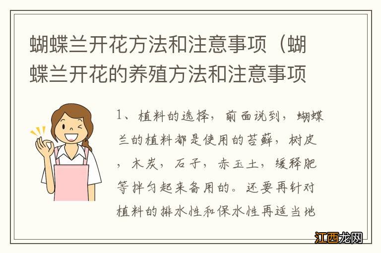 蝴蝶兰开花的养殖方法和注意事项 蝴蝶兰开花方法和注意事项