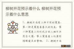 柳树开花预示着什么 柳树开花预示着什么意思