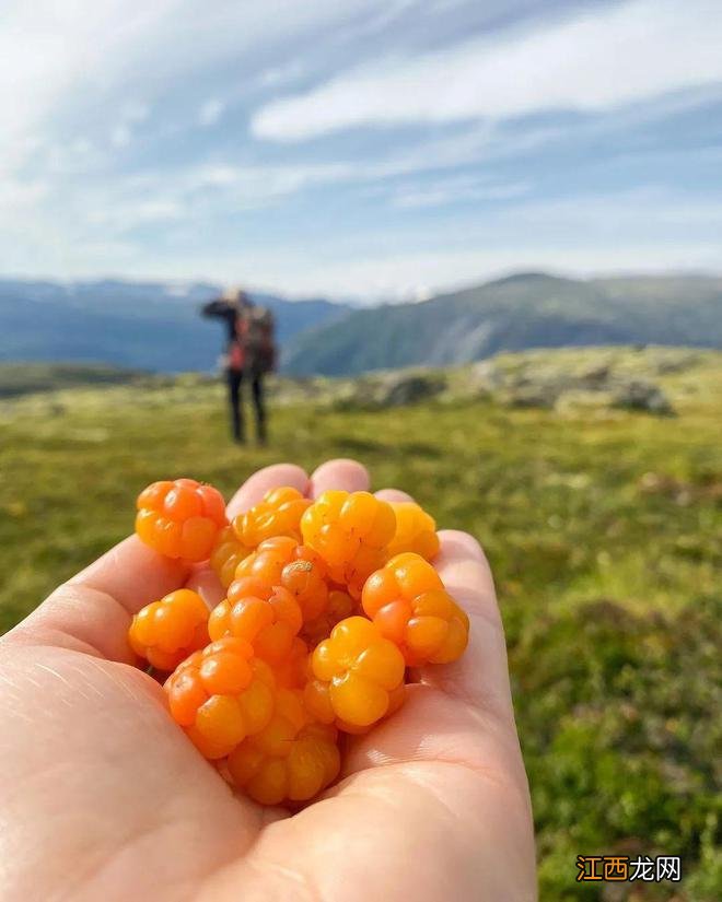 挪威的自然风光,可能比瑞士还好看