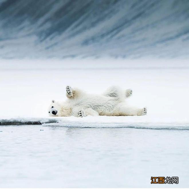 挪威的自然风光,可能比瑞士还好看