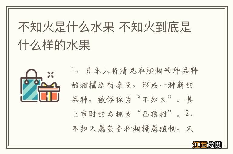 不知火是什么水果 不知火到底是什么样的水果