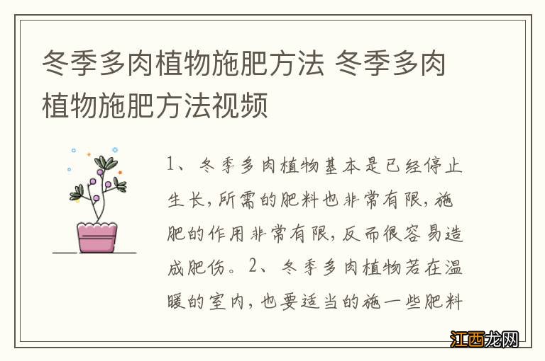 冬季多肉植物施肥方法 冬季多肉植物施肥方法视频