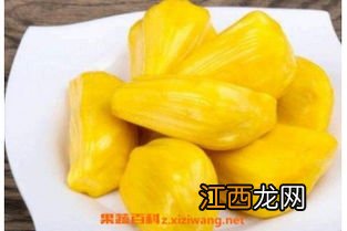 菠萝蜜核的功效与作用-菠萝蜜核怎么吃最好