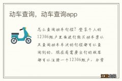 动车查询，动车查询app