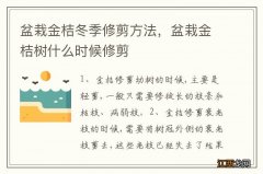 盆栽金桔冬季修剪方法，盆栽金桔树什么时候修剪