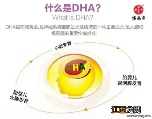 dha什么时间吃效果最佳时间-DHA一般连续吃多久就要停