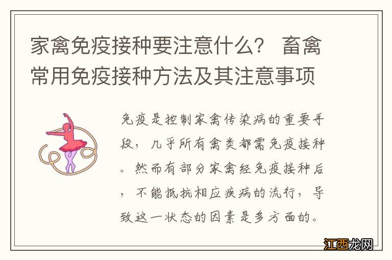 家禽免疫接种要注意什么？ 畜禽常用免疫接种方法及其注意事项