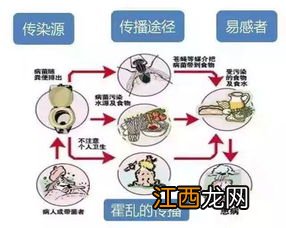 霍乱病死率是多少-霍乱的特点有哪些