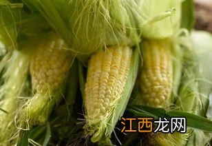 桑叶和玉米须哪个降糖更好-老桑叶和嫩桑叶哪个降糖好