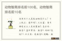 动物智商排名前100名，动物智商排名前10名