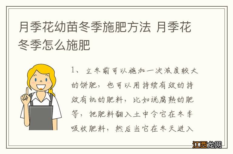 月季花幼苗冬季施肥方法 月季花冬季怎么施肥