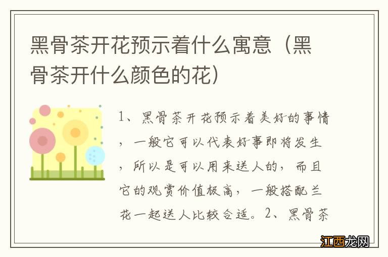 黑骨茶开什么颜色的花 黑骨茶开花预示着什么寓意