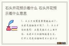 石头开花预示着什么 石头开花预示着什么意思